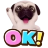 Pug emoji 1 mov 13