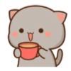kitty? 21