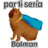 capibara cute 😎 15