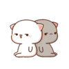 kitty? 22