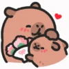 capibara cute 😎 16