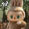 Labubu 👜🧸 Labubus ✨️ 9