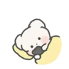 Lovely bear 2 mov 19