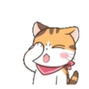 Fun kitten mov 17