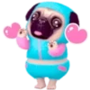Pug emoji 1 mov 14