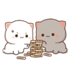 kitty? 24