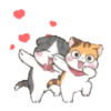 Fun kitten mov 18
