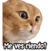 ⚠ Gatito Tóxico ☣️⚠️ 23