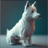 Perritos 2Guau Guau 24
