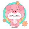 Niño puerquito 1 🐷 MOV. 🇲🇽 17