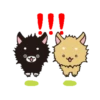 Dog 🐕🐾 22