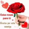 Feliz día de San Valentín🥰🔫2🇲🇽Movi 28