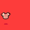 CHIVAS GUADALAJARA  15
