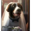 Perritos 2Guau Guau 25