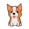 Animated Animals part 2 25