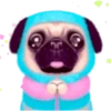 Pug emoji 1 mov 15