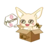 Fox mango🪷💖 23