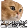 ⚠ Gatito Tóxico ☣️⚠️ 24