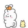 Cute rabbit 2 mov 23