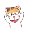 Fun kitten mov 19