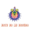 CHIVAS GUADALAJARA  17
