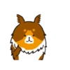 Dog 🐕🐾 24