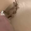 silly cats 19