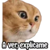 ⚠ Gatito Tóxico ☣️⚠️ 26