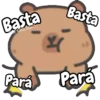 Capibara lindo 🦫 13