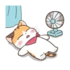 Fun kitten mov 21