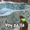 🦫 Capibara reactions 🦫 12