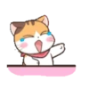 Fun kitten mov 22