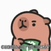 capibara cute 😎 20
