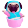 Pug emoji 2 mov 17
