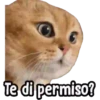 ⚠ Gatito Tóxico ☣️⚠️ 27