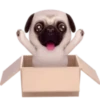 Pug emoji 1 mov 17