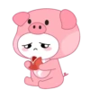 Selecci⭕n pink pig mov 24