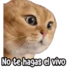 ⚠ Gatito Tóxico ☣️⚠️ 29