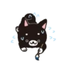 Dog 🐕🐾 30