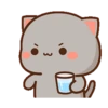 kitty? 30