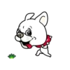 Cute puppy mov 5