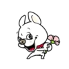 Cute puppy mov 6