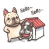 French Bulldog PIGU 7