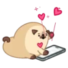 Moshi Pug 🐶 6