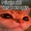 🧿Gatos fraseables 🐱🐈 5