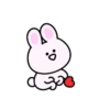 Mini pink rabbit mov 9