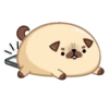 Moshi Pug 🐶 8