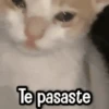 Randoms pa' enviar 1 5