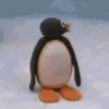 pingu animadas 9
