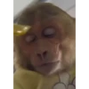 😎Barbería - Tiktok Viral😎 6